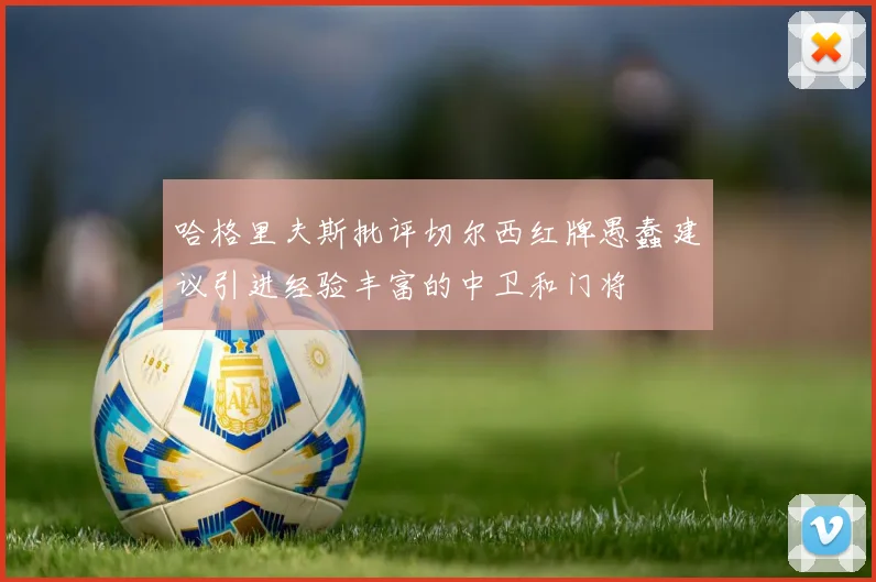 哈格里夫斯批评切尔西红牌愚蠢建议引进经验丰富的中卫和门将