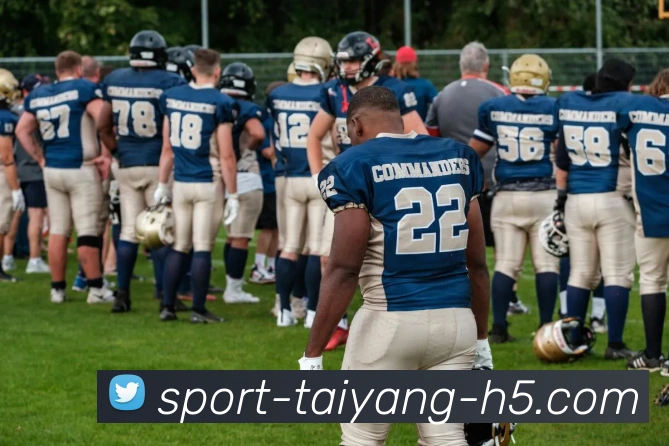 太阳城发展历程